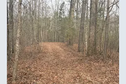 01 Swan Bridge Road, Talking Rock, GA 30175 - Photo 2