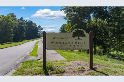 336 Belmont Drive, Cartersville, GA 30120 - Photo 34