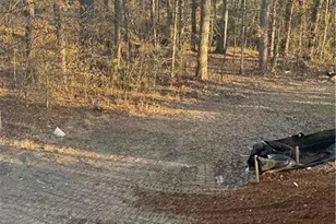 114 McWhirter Pl, Holly Springs, GA 30115 - Photo 14