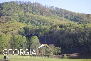 172 Trailwood Dr, Ellijay, GA 30540 - Photo 20