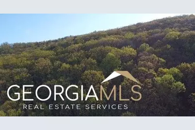 172 Trailwood Drive, Ellijay, GA 30540 - Photo 4