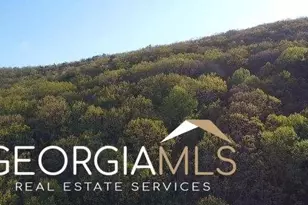 172 Trailwood Dr, Ellijay, GA 30540 - Photo 4