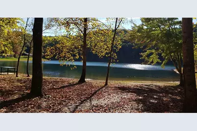 436 Meadow Lane, Talking Rock, GA 30175 - Photo 34