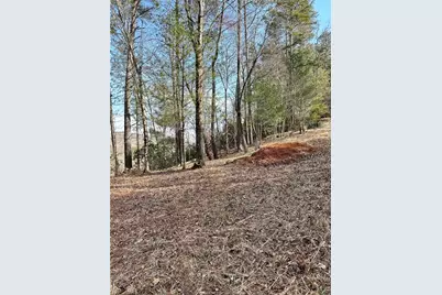 436 Meadow Lane, Talking Rock, GA 30175 - Photo 16