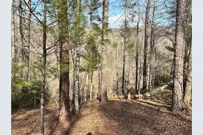 436 Meadow Lane, Talking Rock, GA 30175 - Photo 18