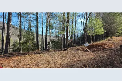 436 Meadow Lane, Talking Rock, GA 30175 - Photo 32