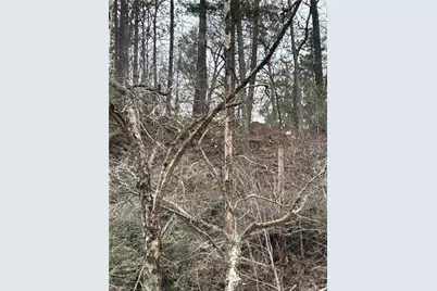 436 Meadow Lane, Talking Rock, GA 30175 - Photo 24