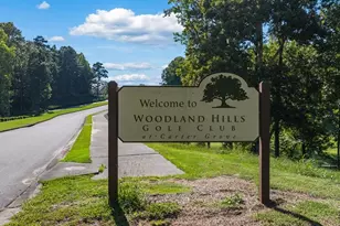 131 Landsdowne Way, Cartersville, GA 30120 - Photo 34