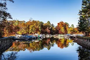 803 Night Fire Dr, Dawsonville, GA 30534 - Photo 76