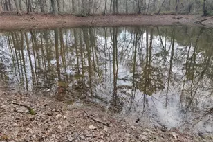 1776 Old Country Pl, Woodstock, GA 30188 - Photo 30