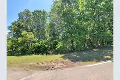 110 Hogan Pond Lane, Ball Ground, GA 30107 - Photo 1