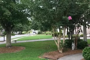 153 Birchwood Pass, Canton, GA 30114 - Photo 6