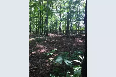 153 Birchwood Pass, Canton, GA 30114 - Photo 66