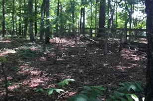 153 Birchwood Pass, Canton, GA 30114 - Photo 66