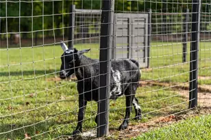 7255 Old Rico Rd, Chattahoochee Hills, GA 30268 - Photo 70