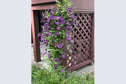 1656 Barn Swallow Place, Marietta, GA 30062 - Photo 50