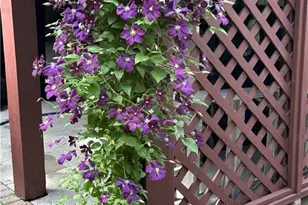 1656 Barn Swallow Pl, Marietta, GA 30062 - Photo 50