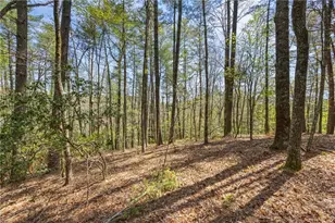 1243 Hooper Road NE, Cleveland, GA 30528 - Photo 18