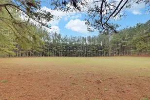 133 Elkmont Dr, Dahlonega, GA 30533 - Photo 50