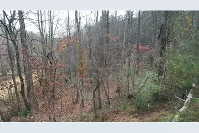 0000 Blackburn Tract 3A Road, Dawsonville, GA 30534 - Photo 10