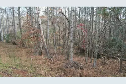 0000 Blackburn Tract 3A Road, Dawsonville, GA 30534 - Photo 8