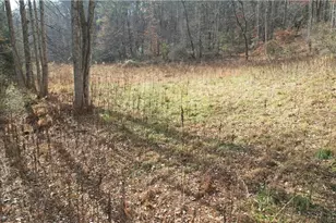 0000 Blackburn Tract 3A Rd, Dawsonville, GA 30534 - Photo 1