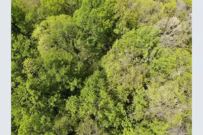 000 Burnt Mountain Cove Road, Jasper, GA 30143 - Photo 10