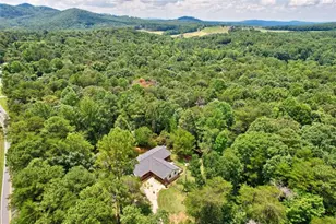 52 Homer Wright Rd, Ellijay, GA 30536 - Photo 66