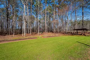 105 Oak Ridge Dr, Sharpsburg, GA 30277 - Photo 46