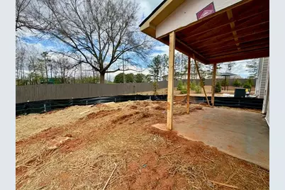 224 Dahlia Drive, Woodstock, GA 30188 - Photo 4