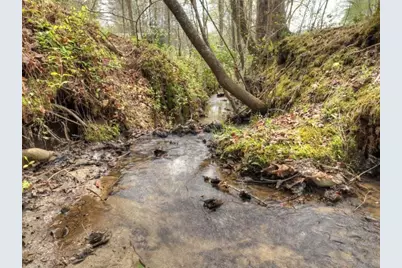 0 Hells Hollow Road, Blue Ridge, GA 30513 - Photo 40