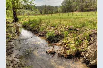 0 Hells Hollow Road, Blue Ridge, GA 30513 - Photo 2