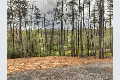 0 Hells Hollow Road, Blue Ridge, GA 30513 - Photo 58