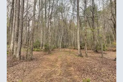 0 Hells Hollow Road, Blue Ridge, GA 30513 - Photo 34