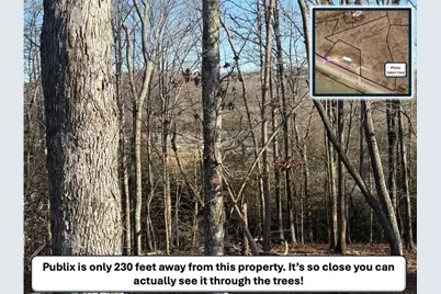 5195 South Chestatee Street, Dahlonega, GA 30533 - Photo 8