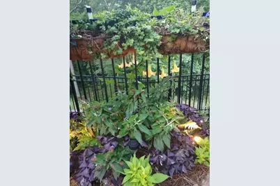 310 Pepperwood Way, Canton, GA 30114 - Photo 42