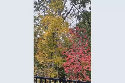 310 Pepperwood Way, Canton, GA 30114 - Photo 44