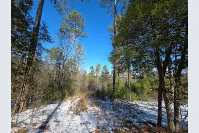 Lot 56 Hornets Bridge Drive, Elberton, GA 30635 - Photo 14