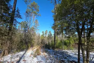 Lot 56 Hornets Bridge Dr, Elberton, GA 30635 - Photo 14