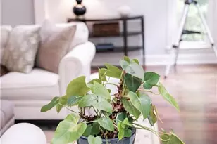 5940 Plantation Dr, Roswell, GA 30075 - Photo 12