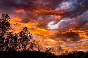 192 Mill Pond Ct, Jasper, GA 30143 - Photo 26