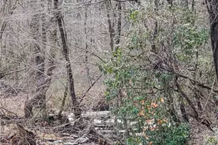 192 Mill Pond Ct, Jasper, GA 30143 - Photo 24