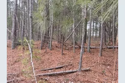 266 Old Yorkville Rd, Dallas, GA 30157 - Photo 4