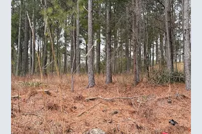 266 Old Yorkville Rd, Dallas, GA 30157 - Photo 1