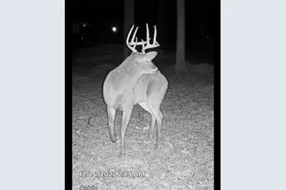 222 Grouse Lane, Talking Rock, GA 30175 - Photo 68