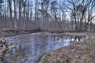 222 Grouse Ln, Talking Rock, GA 30175 - Photo 58