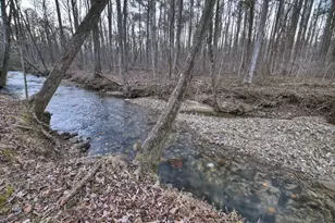 222 Grouse Ln, Talking Rock, GA 30175 - Photo 56