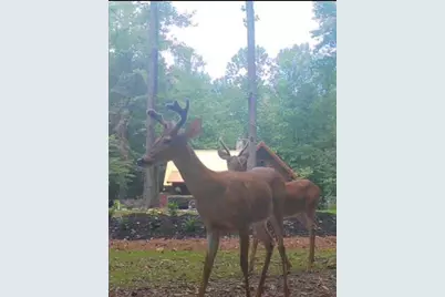 222 Grouse Lane, Talking Rock, GA 30175 - Photo 66