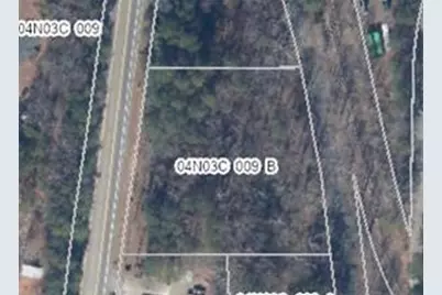 10494 Ball Ground Highway, Ball Ground, GA 30107 - Photo 2