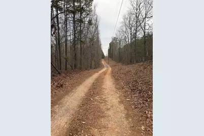 000000 Hutcheson Road, Temple, GA 30179 - Photo 8